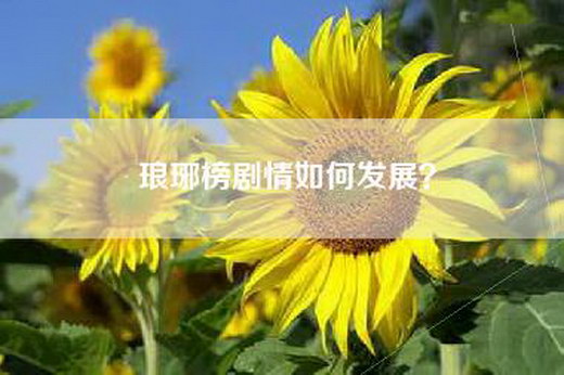 琅琊榜剧情如何发展？