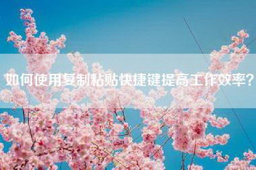 如何使用复制粘贴快捷键提高工作效率？