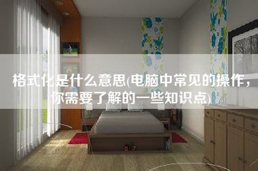 格式化是什么意思(电脑中常见的操作，你需要了解的一些知识点)