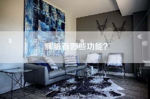 脾脏有哪些功能？