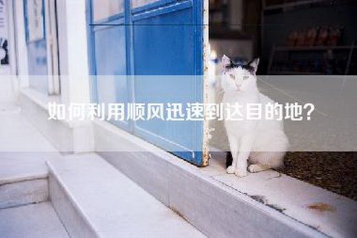 如何利用顺风迅速到达目的地？