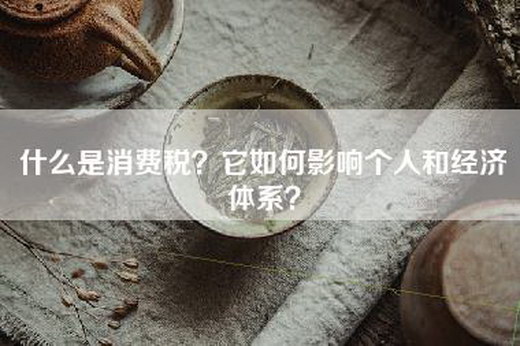 什么是消费税？它如何影响个人和经济体系？