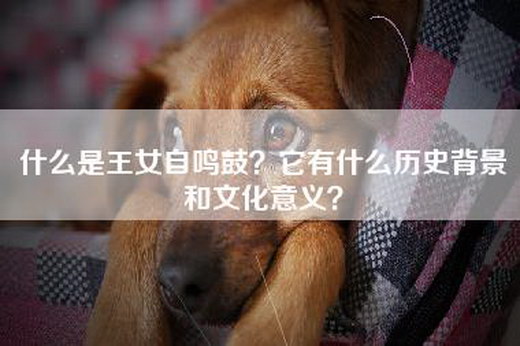什么是王女自鸣鼓？它有什么历史背景和文化意义？