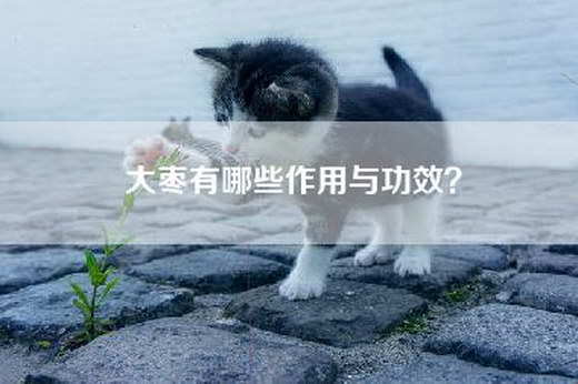 大枣有哪些作用与功效？
