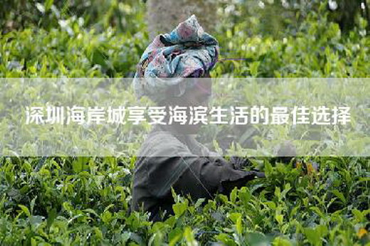 深圳海岸城享受海滨生活的最佳选择