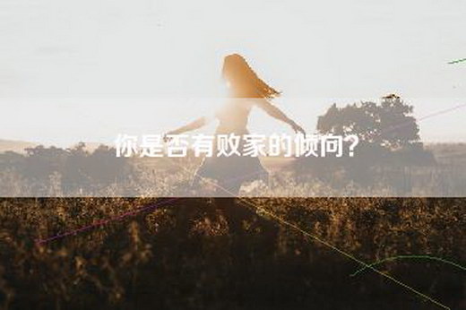 你是否有败家的倾向？