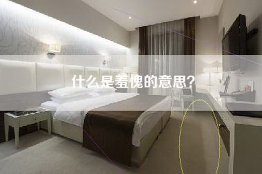什么是羞愧的意思？