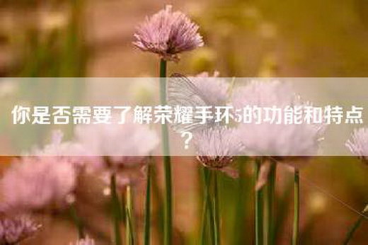 你是否需要了解荣耀手环5的功能和特点？