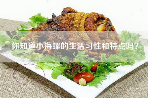 你知道小海螺的生活习性和特点吗？