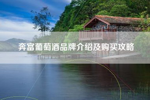 奔富葡萄酒品牌介绍及购买攻略