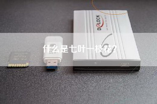 什么是七叶一枝花？