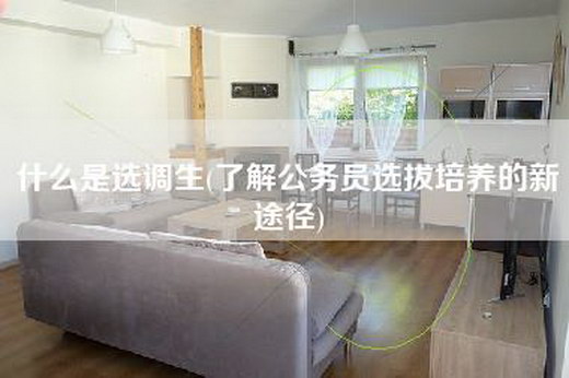 什么是选调生(了解公务员选拔培养的新途径)