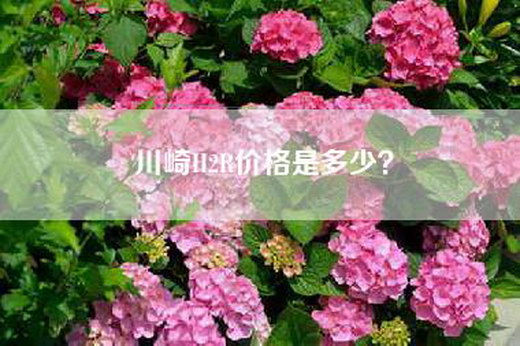 川崎H2R价格是多少？