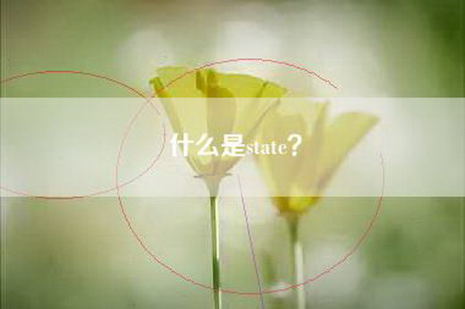 什么是state？
