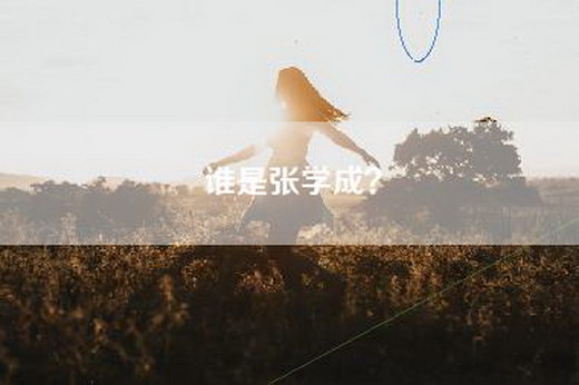 谁是张学成？