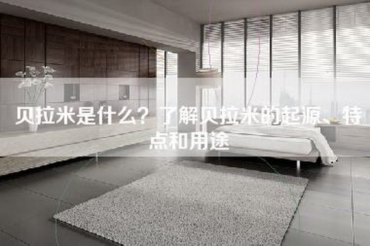 贝拉米是什么？了解贝拉米的起源、特点和用途
