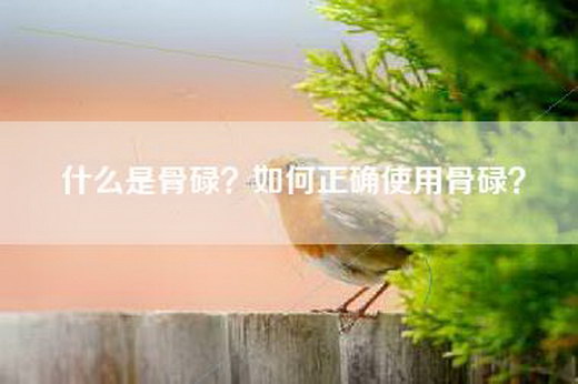 什么是骨碌？如何正确使用骨碌？