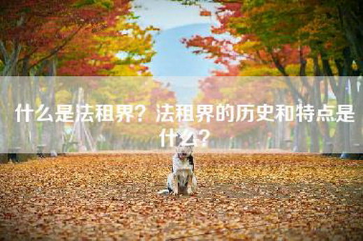 什么是法租界？法租界的历史和特点是什么？
