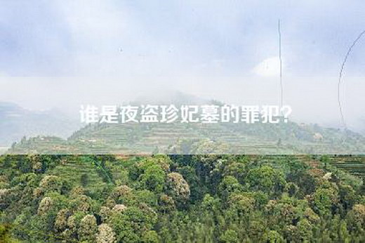 谁是夜盗珍妃墓的罪犯？