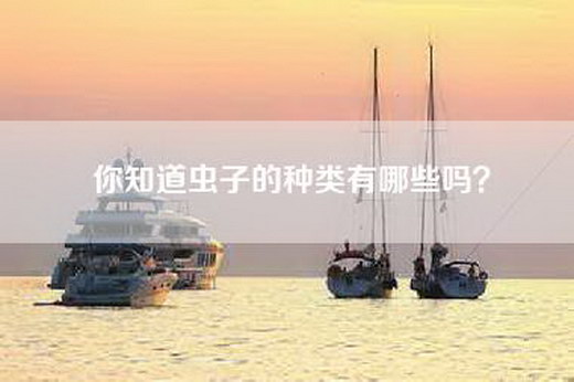 你知道虫子的种类有哪些吗？