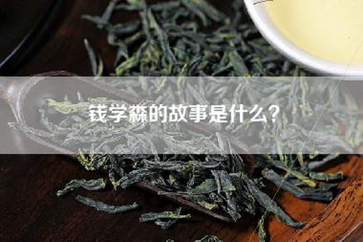 钱学森的故事是什么？