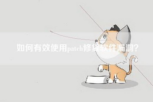 如何有效使用patch修复软件漏洞？