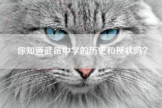 你知道武邑中学的历史和现状吗？