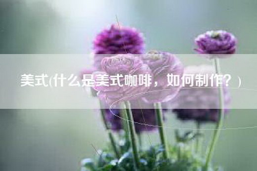 美式(什么是美式咖啡，如何制作？)