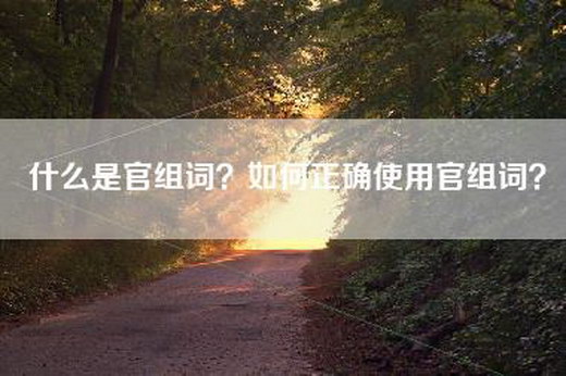 什么是官组词？如何正确使用官组词？