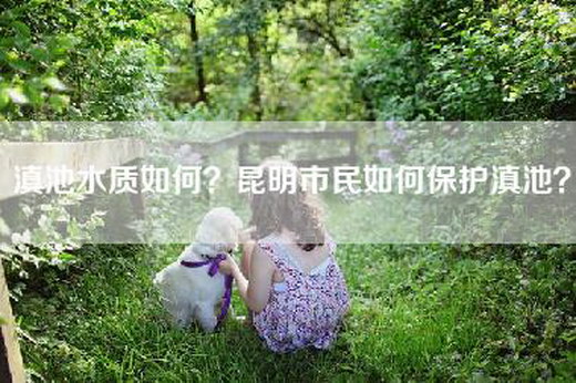 滇池水质如何？昆明市民如何保护滇池？