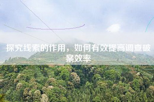 探究线索的作用，如何有效提高调查破案效率