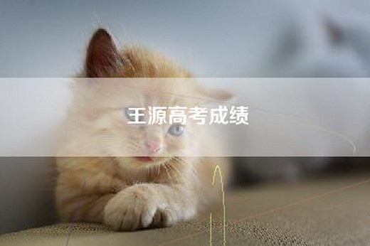 王源高考成绩