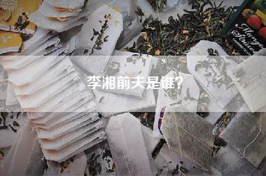 李湘前夫是谁？