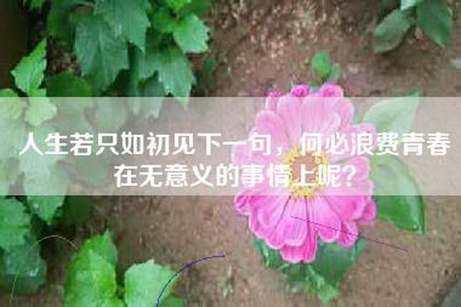 人生若只如初见下一句，何必浪费青春在无意义的事情上呢？