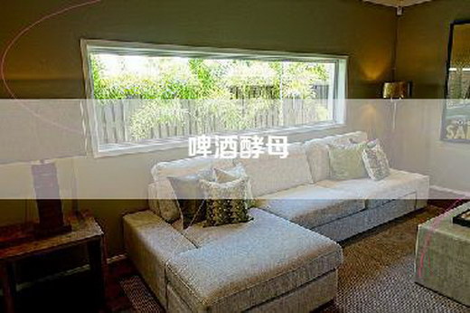 啤酒酵母
