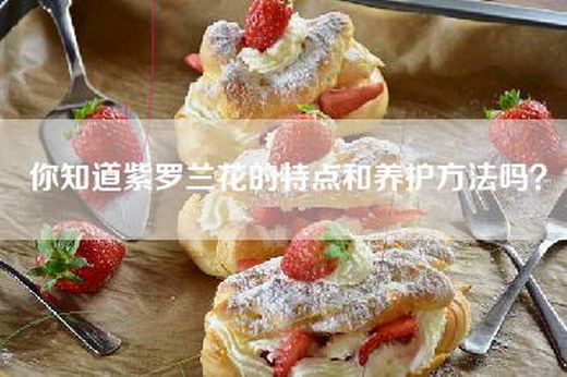 你知道紫罗兰花的特点和养护方法吗？