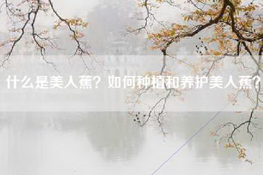 什么是美人蕉？如何种植和养护美人蕉？