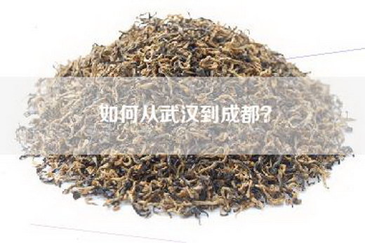 如何从武汉到成都？