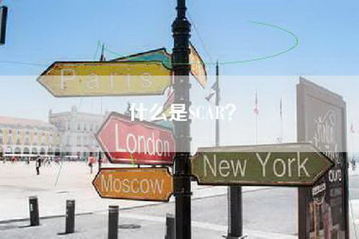 什么是SCAR? 什么是SCAR?