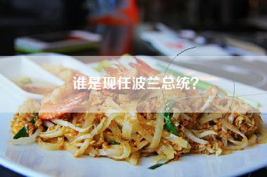 谁是现任波兰总统？