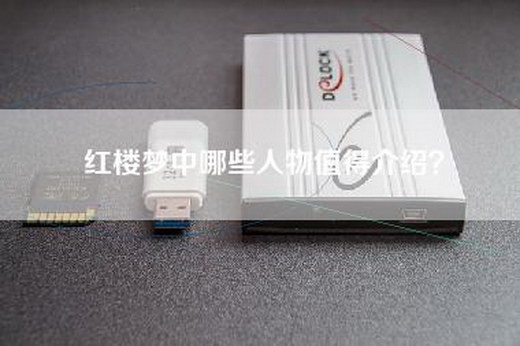 红楼梦中哪些人物值得介绍？