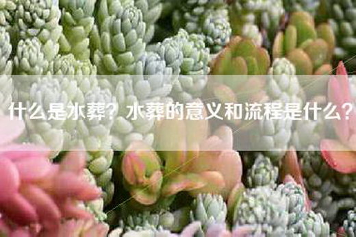 什么是水葬?水葬的意义和流程是什么?