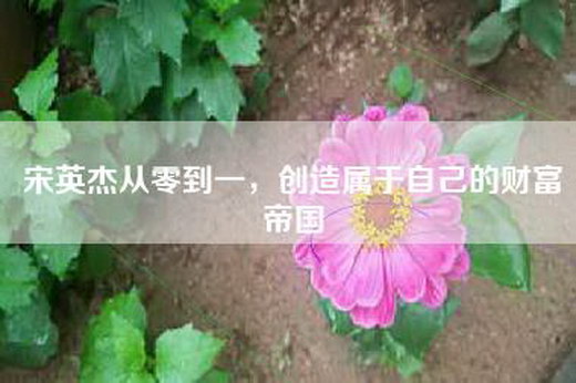 宋英杰从零到一，创造属于自己的财富帝国