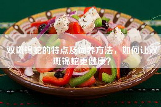 双斑锦蛇的特点及饲养方法,如何让双斑锦蛇更健康?