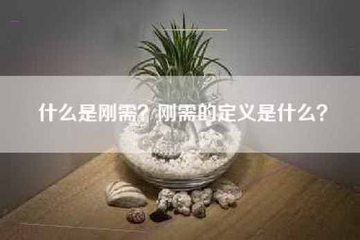什么是刚需?刚需的定义是什么? 什么是刚需?刚需的定义是什么?