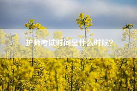 护师考试时间是什么时候?