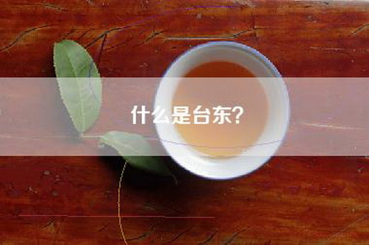 什么是台东？