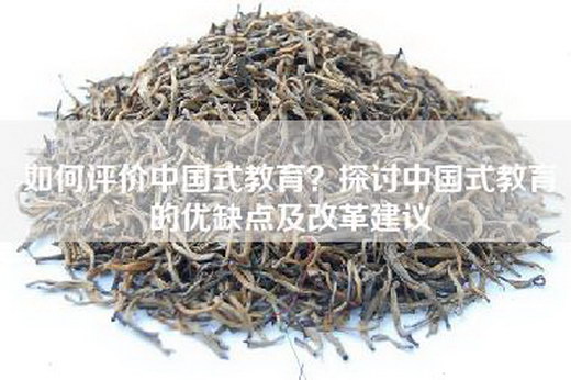 如何评价中国式教育？探讨中国式教育的优缺点及改革建议