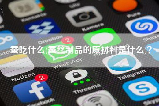 蚕吃什么(蚕丝制品的原材料是什么)？