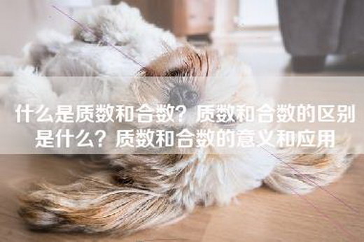 什么是质数和合数?质数和合数的区别是什么?质数和合数的意义和应用